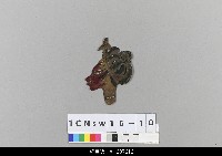 中國北京皮影藏品圖，第1張